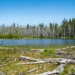 Die besten Fototipps für deine USA-Reise