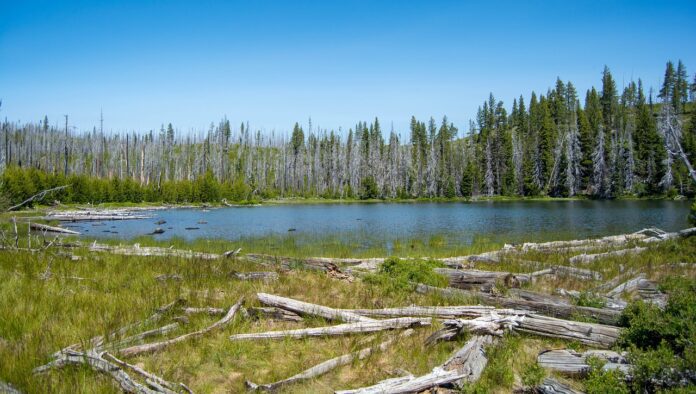 Die besten Fototipps für deine USA-Reise