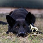 Die faszinierendsten deutschen Ausstellungen für US-Expats