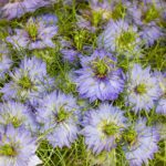 Die lustigsten Begegnungen als US-Expat in Deutschland