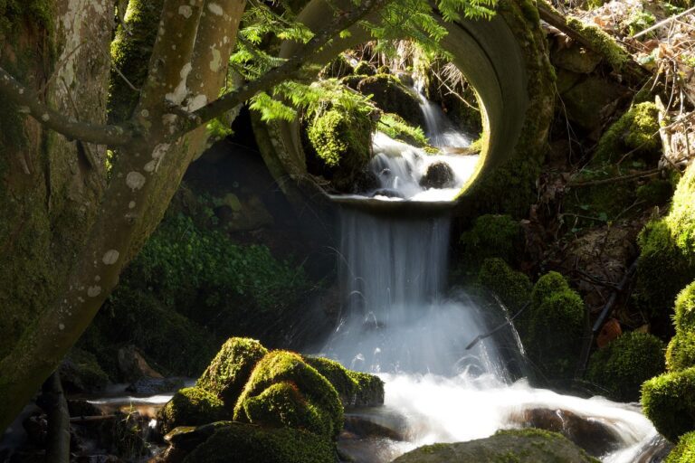 Die schönsten Wasserfälle in den USA, die dich beeindrucken werden