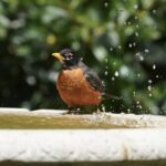 Die Top 10 der amerikanischen Snacks