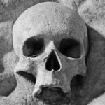 Die USA für Filmjunkies: Die besten Drehorte und Filmtouren