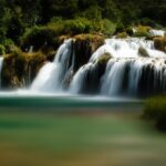 Die USA für Naturfreunde: Die beeindruckendsten Landschaften und Tierwelten