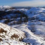 Die USA für Shopaholics: Die angesagtesten Einkaufsmeilen und Geheimtipps