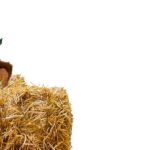 Die verrücktesten Food-Festivals aus den USA