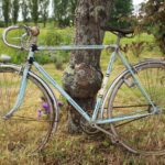 Finanzielle Freiheit durch kluge Geldanlage