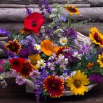 German Insider-Tipps für US-Expats in Deutschland