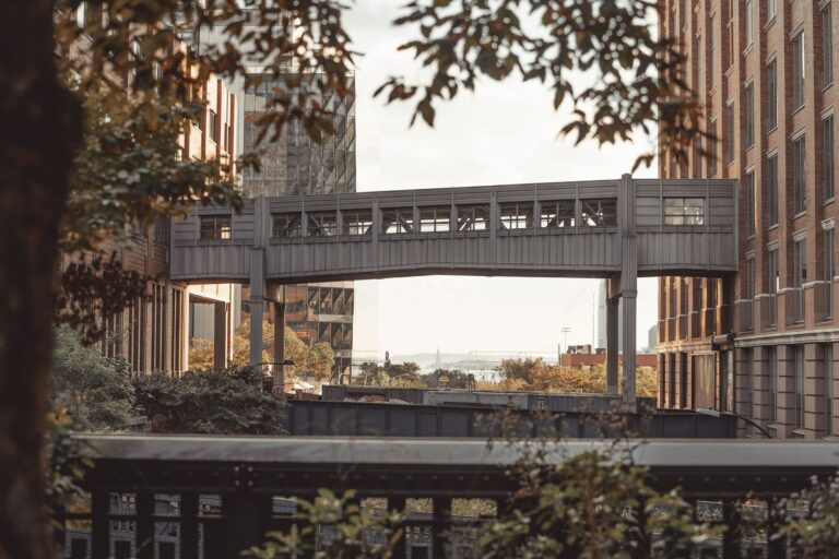 pexels photo 19101319
